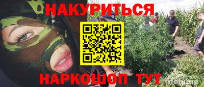 PSILOCYBIN Пугачёв